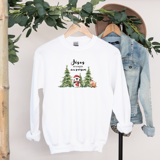 Sweater- Jesus she is right about the season (penguin)