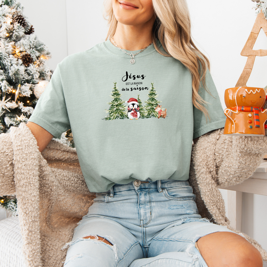 Jesus is the reason for the season (penguin) t-shirt